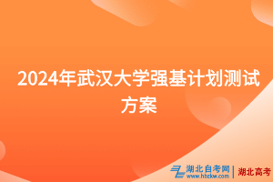 2024年武汉大学强基计划测试方案