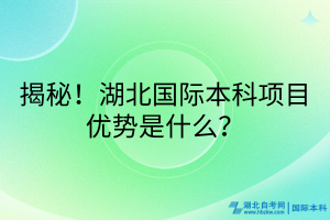 揭秘！湖北国际本科项目优势是什么？