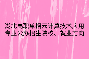 湖北高职单招云计算技术应用专业公办招生院校、就业方向