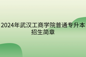 2024年武汉工商学院普通专升本招生简章