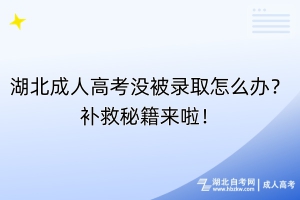 湖北成人高考没被录取怎么办？补救秘籍来啦！