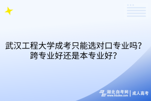 武汉工程大学成考只能选对口专业吗？跨专业好还是本专业好？