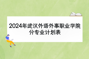 2024年武汉外语外事职业学院分专业计划表