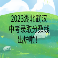 2023湖北武汉中考录取分数线出炉啦！