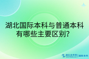 湖北国际本科与普通本科有哪些主要区别？