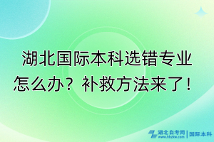 湖北国际本科选错专业怎么办？补救方法来了！