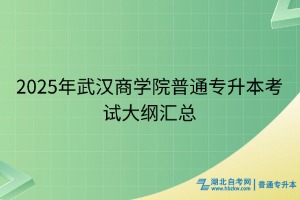 2025年武汉商学院普通专升本考试大纲汇总