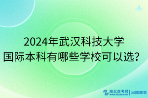 2024年武汉科技大学国际本科有哪些学校可以选？