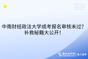 中南财经政法大学成考报名审核未过？补救秘籍大公开！