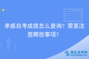 孝感自考成绩怎么查询？需要注意哪些事项？