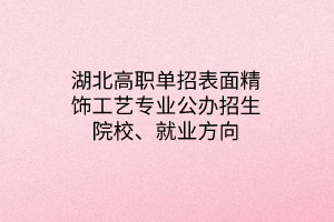 湖北高职单招表面精饰工艺专业公办招生院校、就业方向