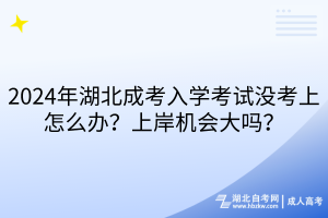 2024年湖北成考入学考试没考上怎么办？上岸机会大吗？