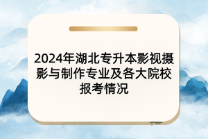 2024年湖北专升本影视摄影与制作专业及各大院校报考情况