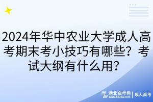 2024年华中农业大学成人高考期末考小技巧有哪些？考试大纲有什么用？