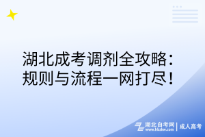 湖北成考调剂全攻略：规则与流程一网打尽！