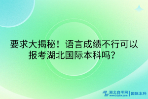 要求大揭秘！语言成绩不行可以报考湖北国际本科吗？