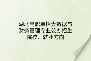 湖北高职单招大数据与财务管理专业公办招生院校、就业方向