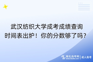 武汉纺织大学成考成绩查询时间表出炉！你的分数够了吗？