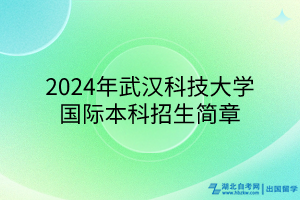 2024年武汉科技大学国际本科招生简章