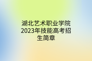 湖北艺术职业学院2023年技能高考招生简章