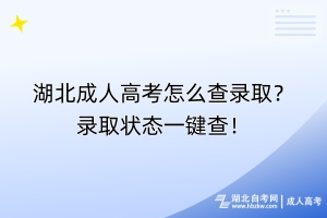 湖北成人高考怎么查录取？录取状态一键查！