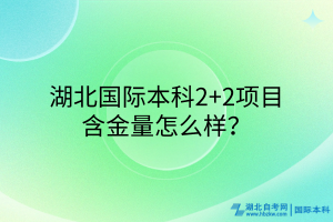 湖北国际本科2+2项目含金量咋样？