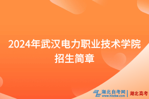 2024年武汉电力职业技术学院招生简章