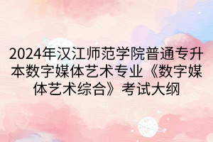 2024年汉江师范学院普通专升本数字媒体艺术专业《数字媒体艺术综合》考试大纲