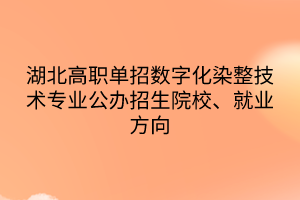 湖北高职单招数字化染整技术专业公办招生院校、就业方向