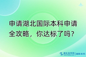 申请湖北国际本科申请全攻略，你达标了吗？