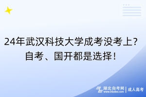 24年武汉科技大学成考没考上？自考、国开都是选择！