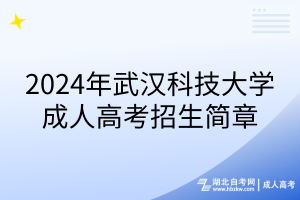 2024年武汉科技大学成人高考招生简章