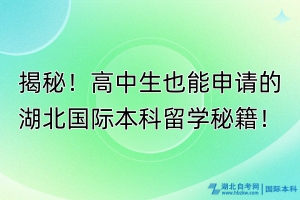 揭秘！高中生也能申请的湖北国际本科留学秘籍！