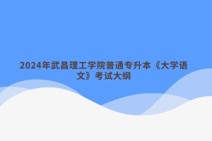 2024年武昌理工学院普通专升本《大学语文》考试大纲