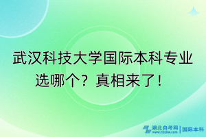 武汉科技大学国际本科专业选哪个？真相来了！