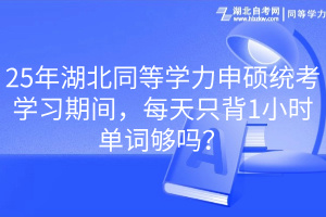 25年湖北同等学力申硕统考学习期间，每天只背1小时单词够吗？