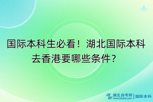 国际本科生必看！湖北国际本科去香港要哪些条件？