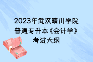 2023年武汉晴川学院普通专升本《会计学》考试大纲