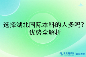 选择湖北国际本科的人多吗？优势全解析