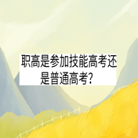 职高是参加技能高考还是普通高考？