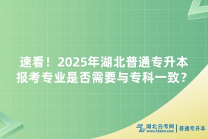 速看！2025年湖北普通专升本报考专业是否需要与专科一致？