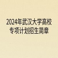 2024年武汉大学高校专项计划招生简章