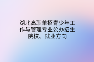 湖北高职单招青少年工作与管理专业公办招生院校、就业方向