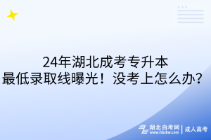 24年湖北成考专升本最低录取线曝光！没考上怎么办？