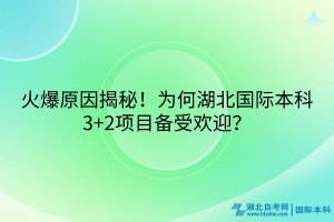 火爆原因揭秘！为何湖北国际本科3+2项目备受欢迎？