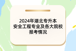 2024年湖北专升本安全工程专业及各大院校报考情况