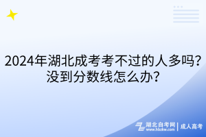 2024年湖北成考考不过的人多吗？没到分数线怎么办？