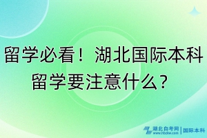 留学必看！湖北国际本科留学要注意什么？