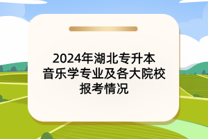 2024年湖北专升本音乐学专业及各大院校报考情况