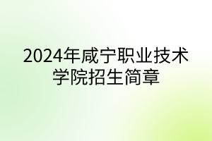 2024年咸宁职业技术学院招生简章